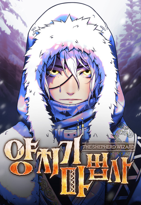 Shepherd Wizard FR Cover Image